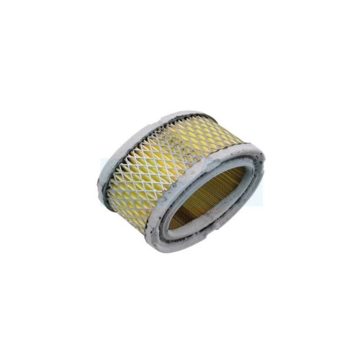 Filtre à air pour moteur Tecumseh (33268)