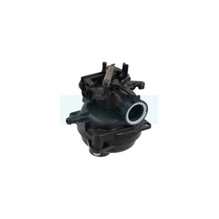 Carburateur pour moteur Briggs & Stratton (84001032)