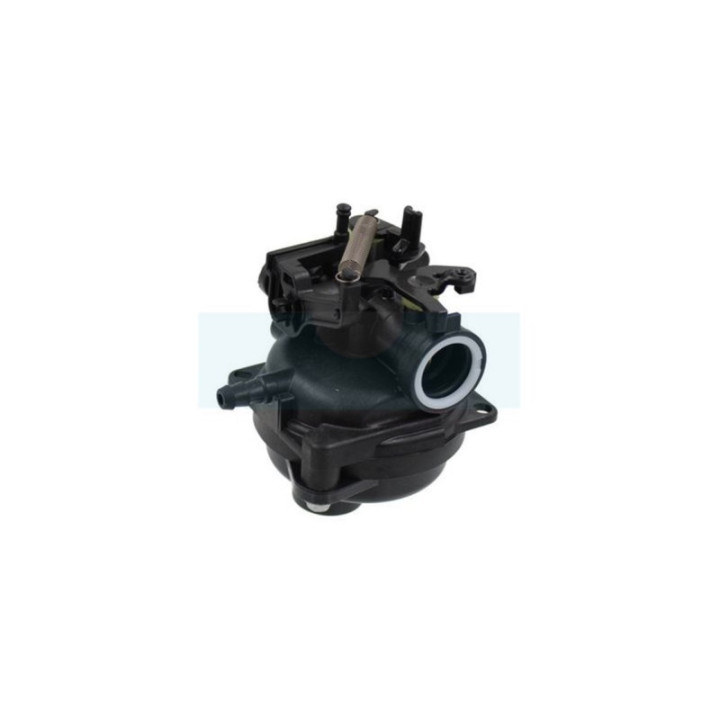 Carburateur pour moteur Briggs & Stratton (84001032)