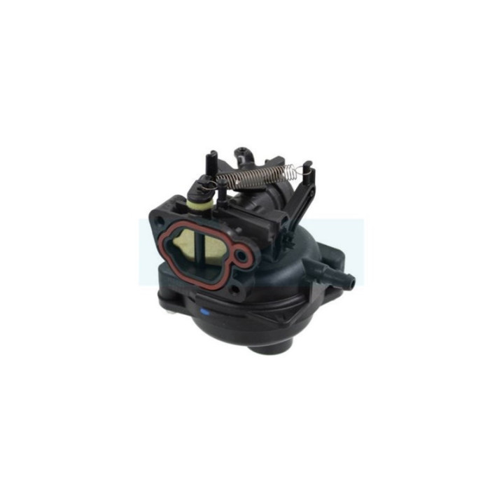 Carburateur pour moteur Briggs & Stratton (84001032)