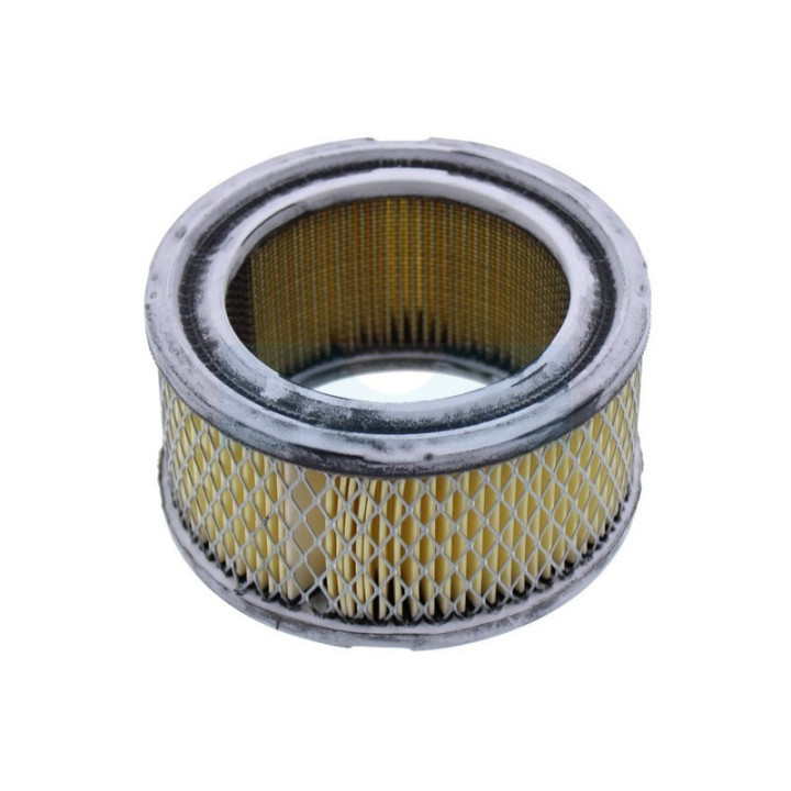 Filtre à air pour moteur Kohler (231847)