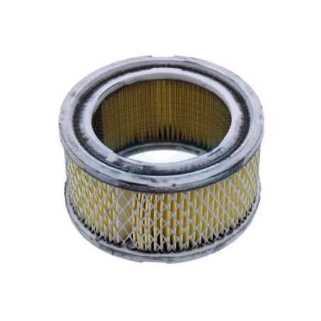 Filtre à air pour moteur Tecumseh (31925)