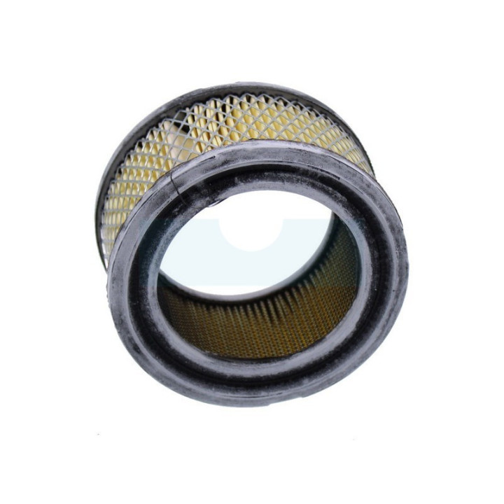 Filtre à air pour moteur Tecumseh (31925)