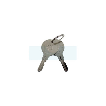 Clé de contact pour moteur Yanmar (10610077630)