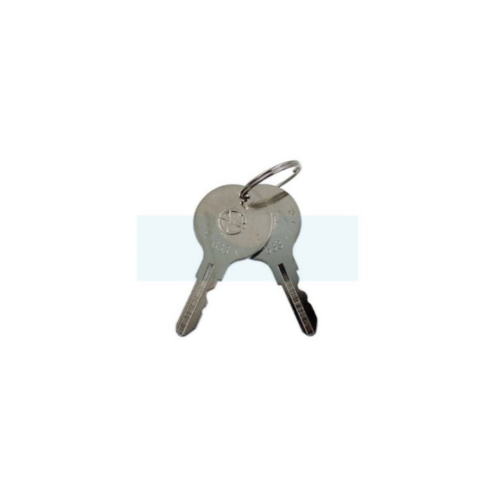 Clé de contact pour moteur Yanmar (10610077630)