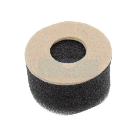 Filtre à air pour moteur Tecumseh (31700)