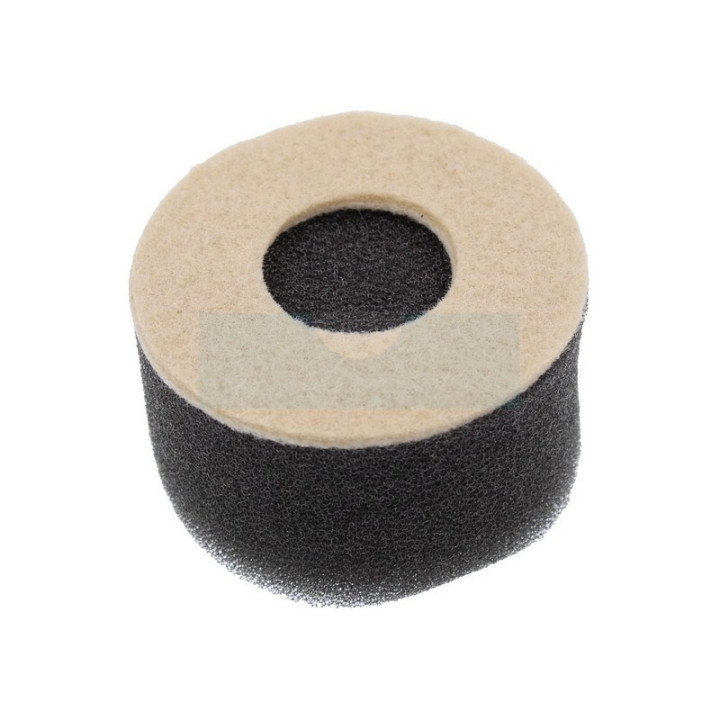 Filtre à air pour moteur Tecumseh (31700)