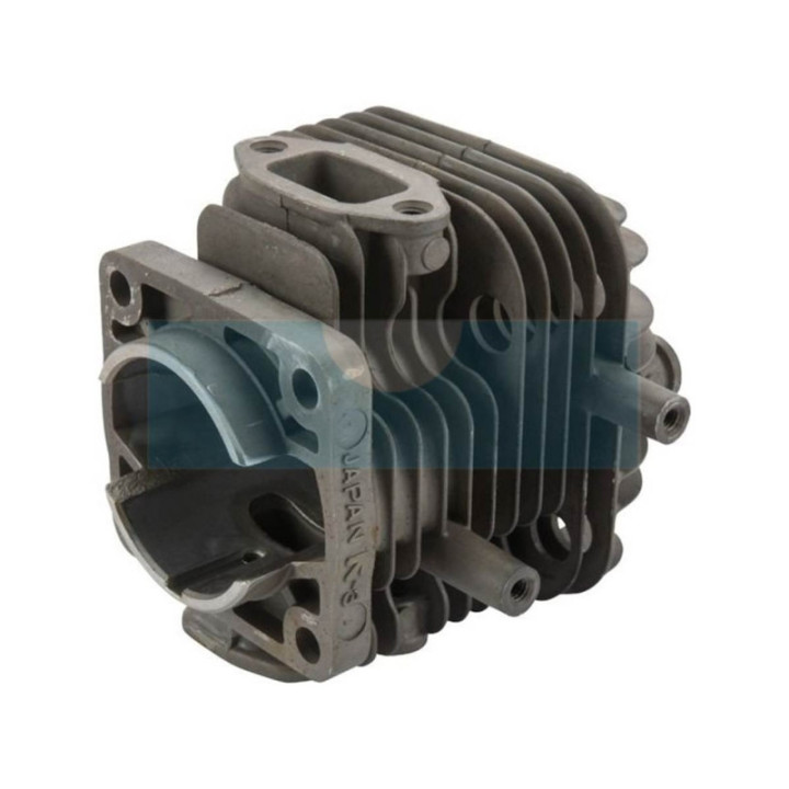 Cylindre pour moteur Kawasaki (110052140)