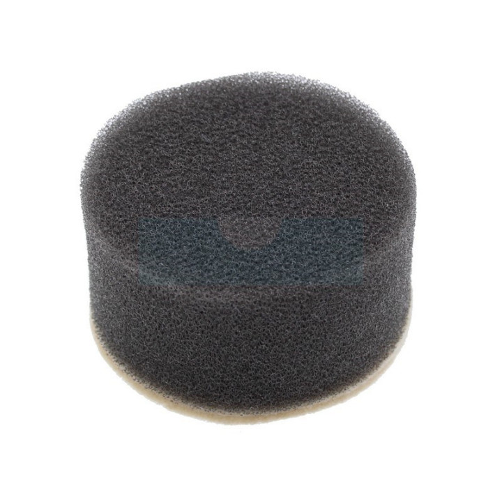 Filtre à air pour moteur Tecumseh (31700)