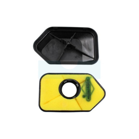Boitier + Filtre à air pour moteur Briggs & Stratton (698472)