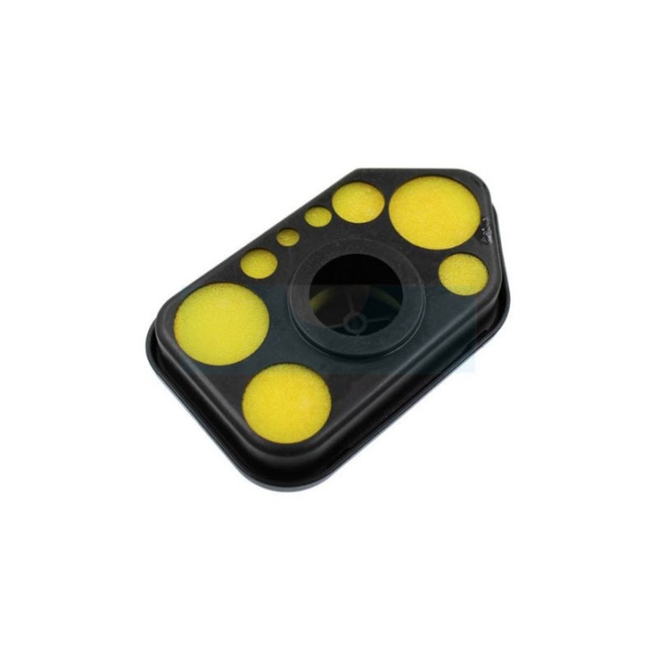 Boitier + Filtre à air pour moteur Briggs & Stratton (698472)