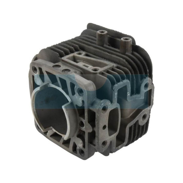 Cylindre pour moteur Kawasaki (110056009)