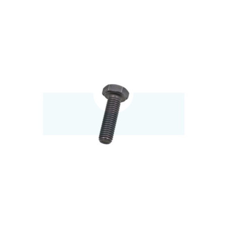 Vis de lame pour tracteur tondeuse Etesia (71242)