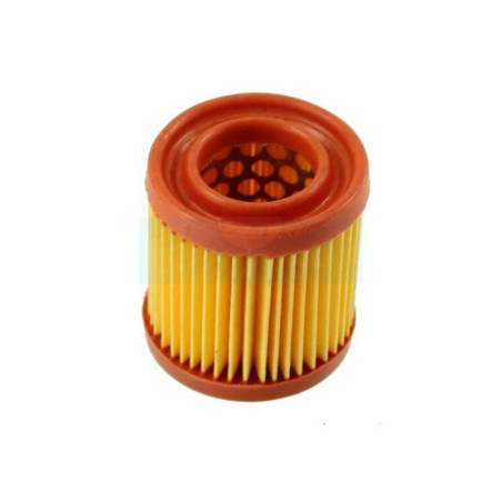 Filtre à air pour moteur Tecumseh (23410027)