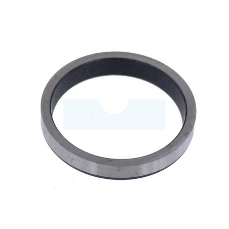 Siège de soupape pour moteur Briggs & Stratton (691844)