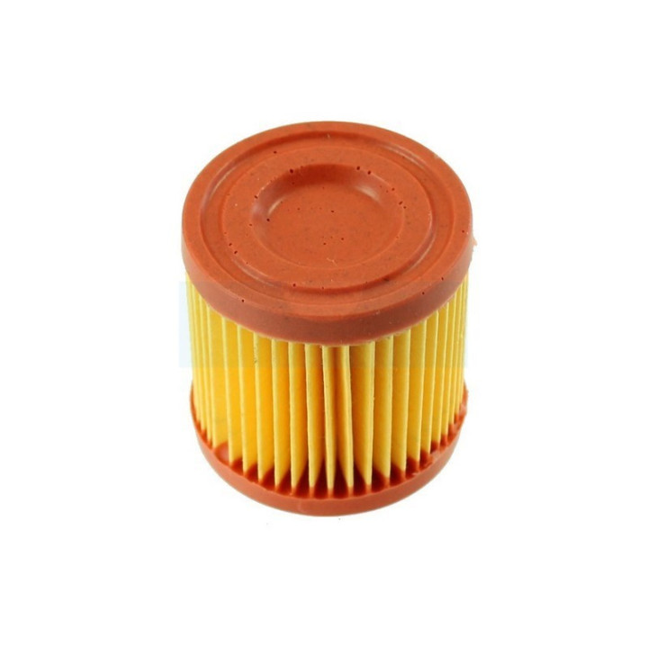 Filtre à air pour moteur Tecumseh (23410027)