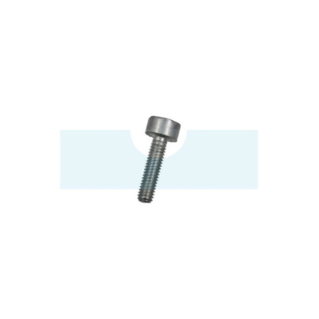 Vis tête cylindrique pour pulvérisateur / tarière / tronçonneuse / taille-haie / débroussailleuse Stihl (90223130680)
