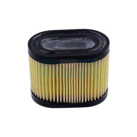 Filtre à air pour moteur Tecumseh (36745)