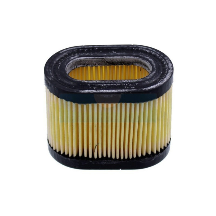Filtre à air pour moteur Tecumseh (36745)