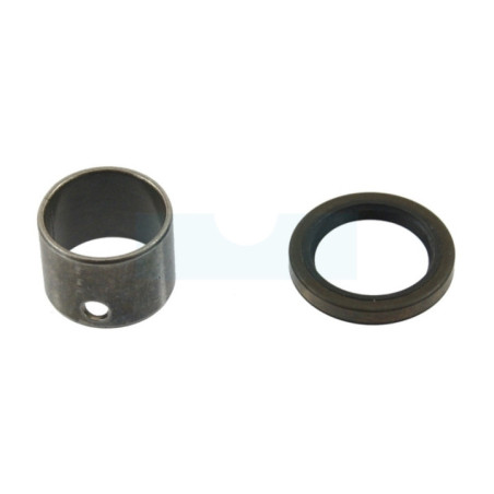 Bague de friction avec joint spi pour moteur Briggs & Stratton (698340)