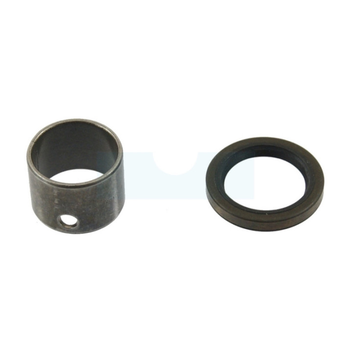 Bague de friction avec joint spi pour moteur Briggs & Stratton (698340)