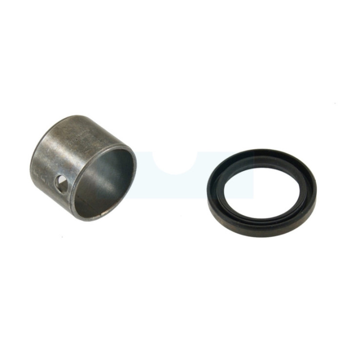 Bague de friction avec joint spi pour moteur Briggs & Stratton (698340)