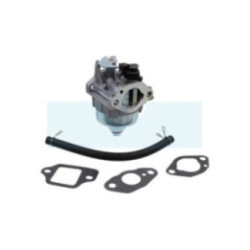 Carburateur pour moteur / tondeuse Honda (16100Z9L811)