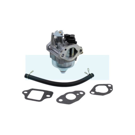 Carburateur pour moteur / tondeuse Honda (16100Z9L811)