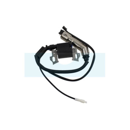 Bobine d'allumage pour moteur MTD (751-10646)