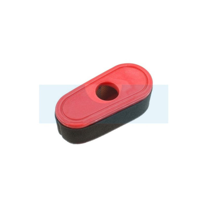 Filtre à air + pré-filtre pour moteur Loncin (180130289-0001)