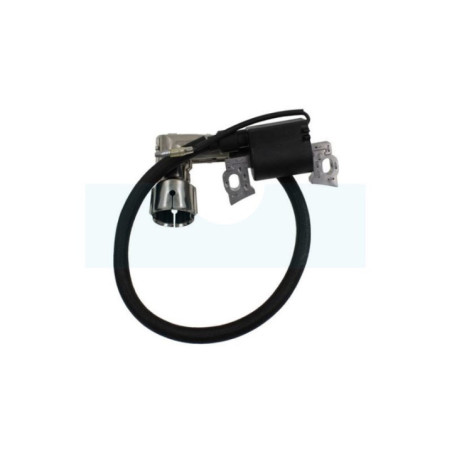 Bobine d'allumage pour moteur MTD (751-11989)