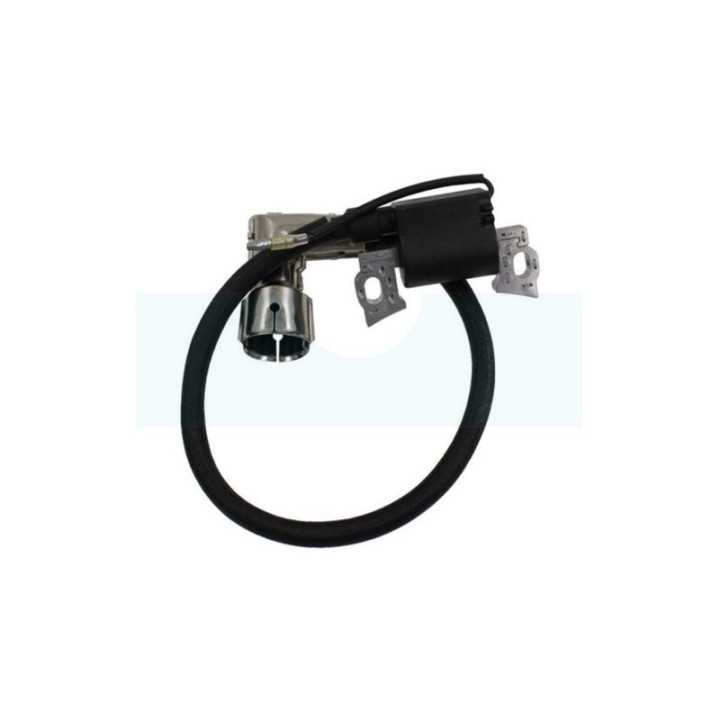 Bobine d'allumage pour moteur MTD (751-11989)