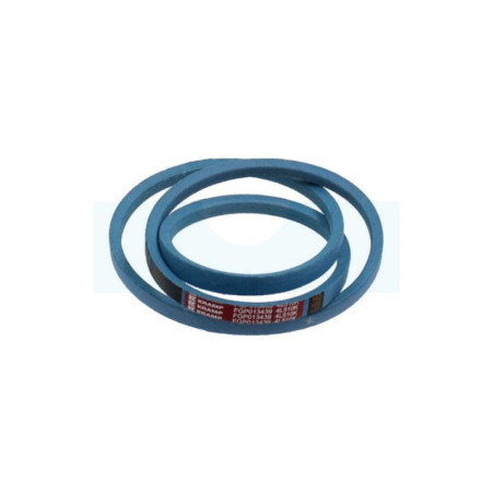 Courroie de traction pour tondeuse Bolens (FGP013439)