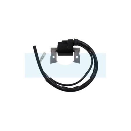 Bobine d'allumage pour moteur Kubota (1218167060)