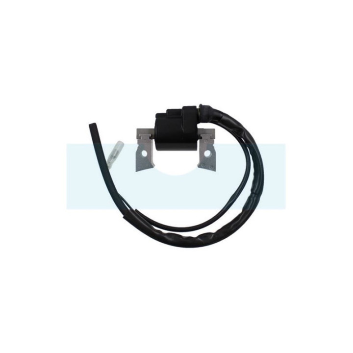 Bobine d'allumage pour moteur Kubota (1218167060)