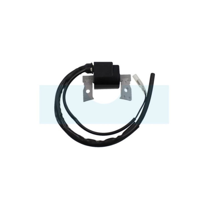 Bobine d'allumage pour moteur Kubota (1218167060)