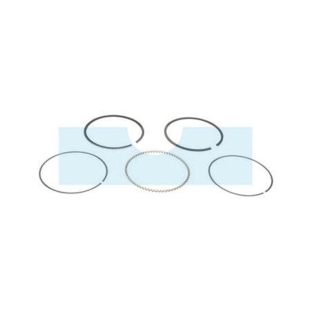 Kit segment pour moteur Kawasaki (130086060)
