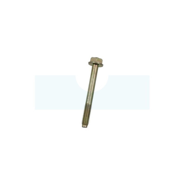 Vis de bride pour moteur / tondeuse Honda (90014888000)