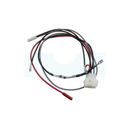 Faisceau de câbles pour moteur Briggs & Stratton (591392)