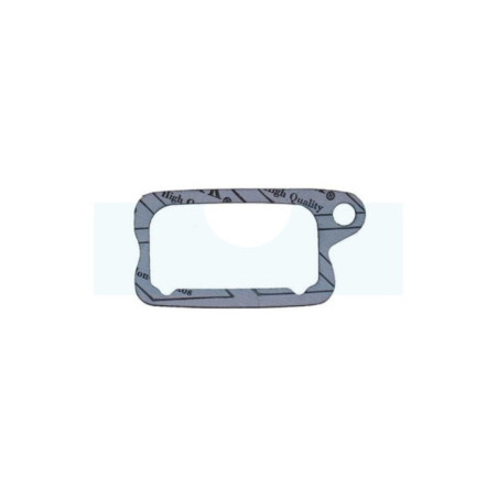 Joint de cache soupape pour Briggs & Stratton (695890)
