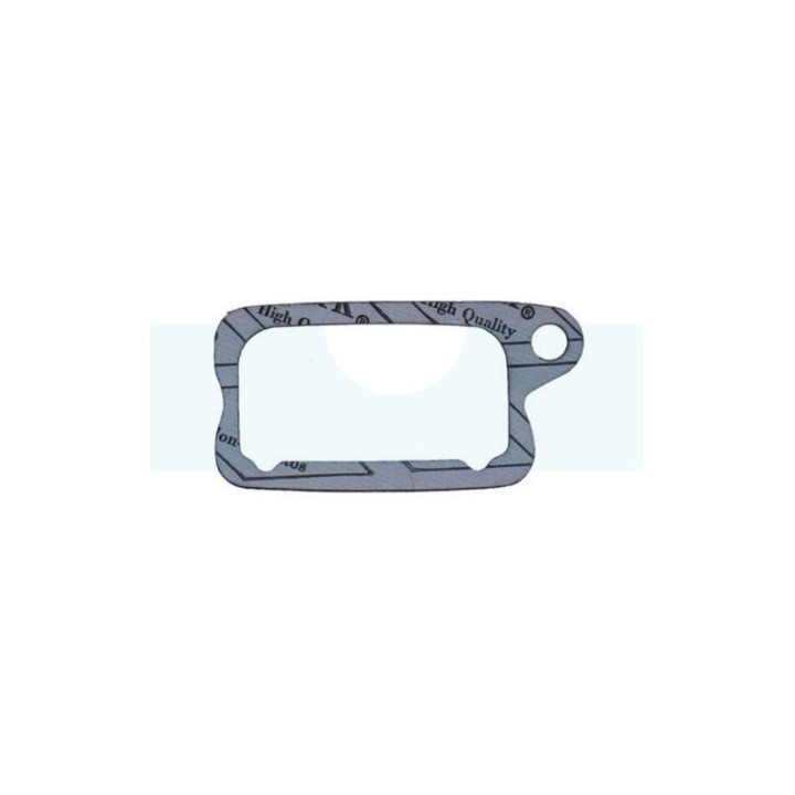 Joint de cache soupape pour Briggs & Stratton (695890)