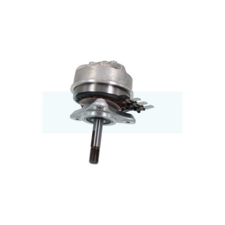 Moteur électrique pour débroussailleuse Stihl (48636000201)
