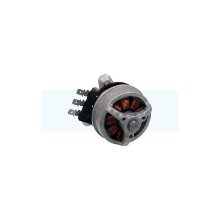 Moteur électrique pour débroussailleuse Stihl (48636000201)