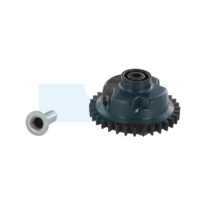 Roue dentée de régulateur pour moteur Briggs & Stratton (391737)