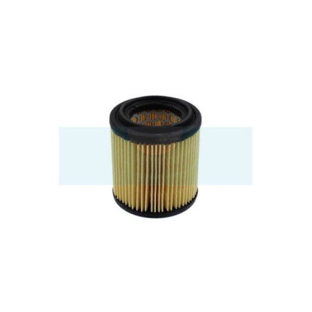 Filtre à air pour As Motor (G06305012)