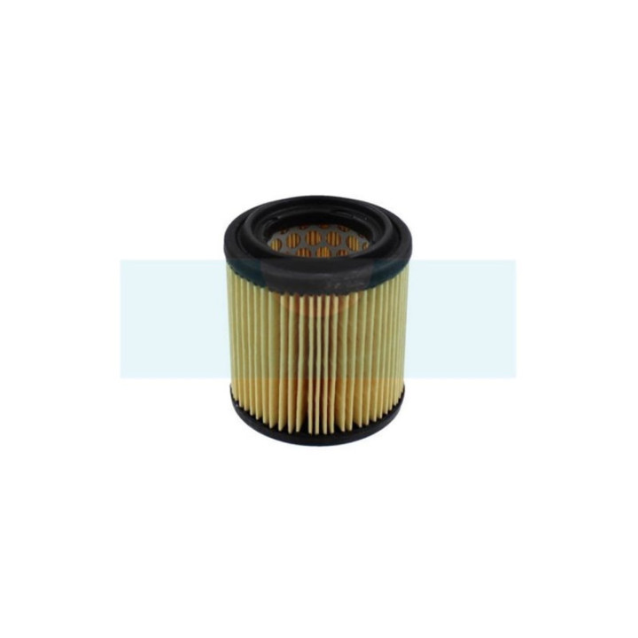 Filtre à air pour As Motor (G06305012)