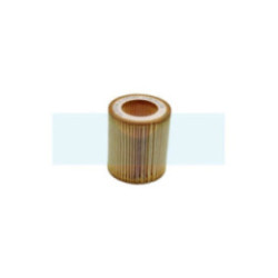 Filtre à air pour débroussailleuse à roue As Motor (G06350106)