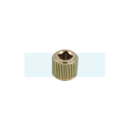 Pignon à vis archimède pour As Motor (G04330014)