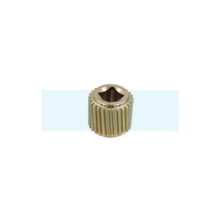Pignon à vis archimède pour As Motor (G04330014)