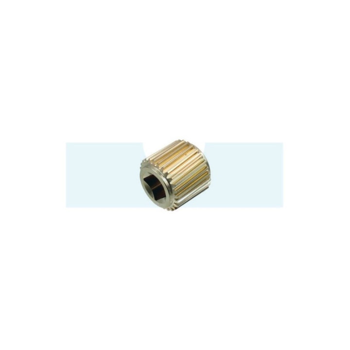 Pignon à vis archimède pour As Motor (G04330014)